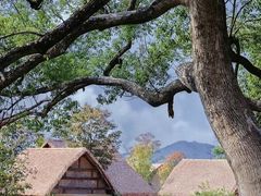 -良渚古城遗址公园