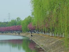 -羊山湖公园
