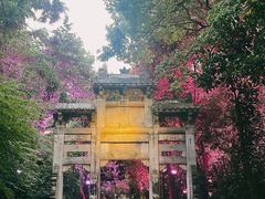 -天目湖山水园