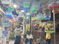 -溪岸路花鸟市场