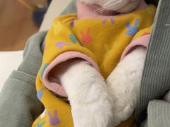 -猫腻·猫咖·撸猫馆(星光大道店)