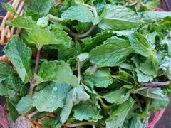 -象山村腊排骨(丽江总店)