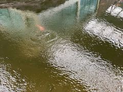 -御龙温泉度假村