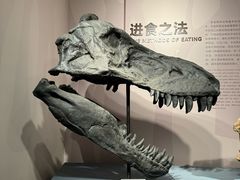-自贡恐龙博物馆
