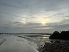 -宝安西湾红树林湿地公园