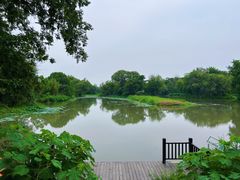 -西溪国家湿地公园