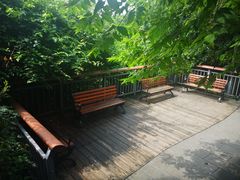 -金鸡山公园