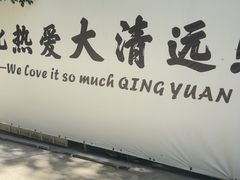 -芭厘·农庄老字号.电饭煲五指毛桃焗鸡