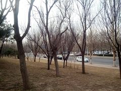 -五环公园