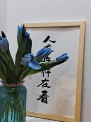 -歌曼丽草本减重