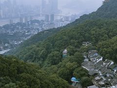 -南山植物园
