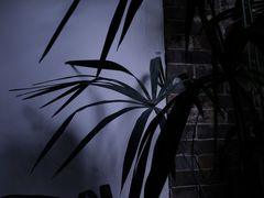 -西安于右任故居博物馆