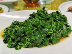 酒香草头-蝶园·装修中(BFC外滩金融中心店)