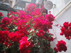 -乡绅本色白家厨坊