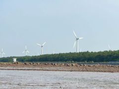 -黄海国家森林公园