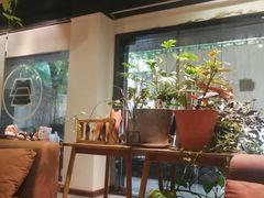 大堂-柴务处·柴犬主题狗咖