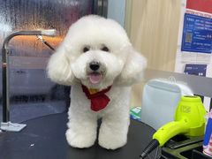 -美联众合爱康动物医院•复杂内科•肿瘤科•牙科•腔镜诊疗中心
