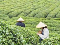 -EF教育成人英语(武林中心)