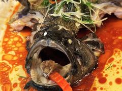 -南海渔村(珠江新城店)