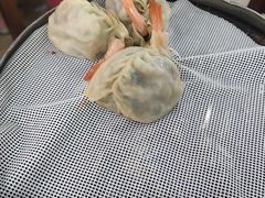 -叶存利海鲜大馅饺子(海宁路总店)