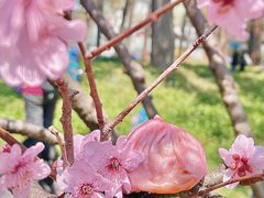 -王興記(中山路店)