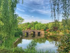 -浙江安吉JW万豪酒店·万豪中餐厅