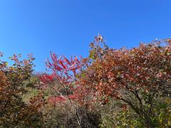 -北京凤凰岭