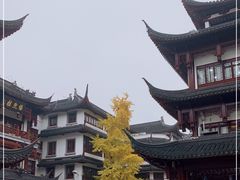 -Peet's Coffee皮爷咖啡(豫园店)