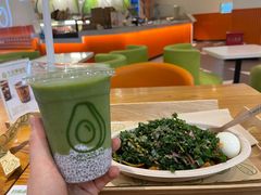 -油梨树 AVOCADO TREE(亮马桥店)