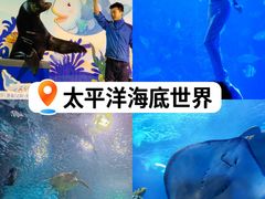 -太平洋海底世界