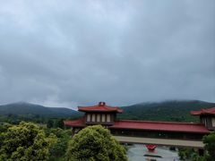 -中国石榴博物馆