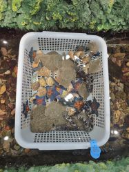 -钓虾工场·钓虾·赶海(回龙观店)