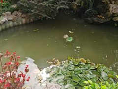 -漫渡庄绿岛花园•隐世庭园菜(滨湖店)