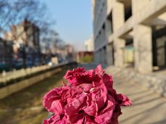 -清华大学玉泉医院