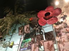 -美国自然历史博物馆