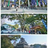 日本旅行|日本不落的名城，因熊本熊闻名世界