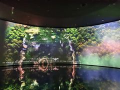 -中国湿地博物馆