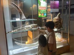 -香港科学馆