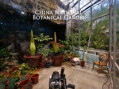 -国家植物园
