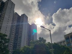 -添好运点心专门店(北角店)