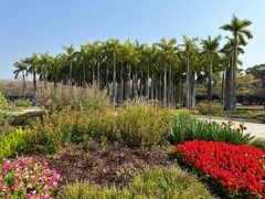 -深圳国际园林花卉博览园