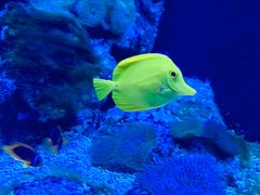 -成都浩海立方海洋公园