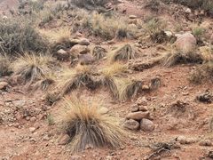 -新疆天山托木尔景区·大峡谷
