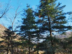-鹿院坪生态旅游景区