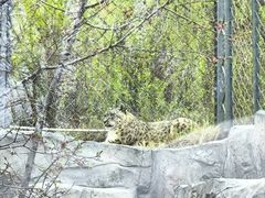 -青藏高原野生动物园
