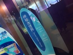 -中国宋庆龄青少年科技文化交流中心