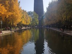 -玲珑塔公园