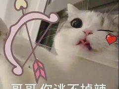 -魅KTV·AI辅唱(人民广场旗舰店)