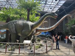 -国家自然博物馆