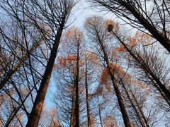 -山王坪喀斯特国家生态公园